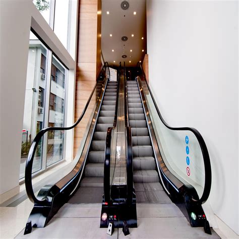 DAILY ESCALATOR .